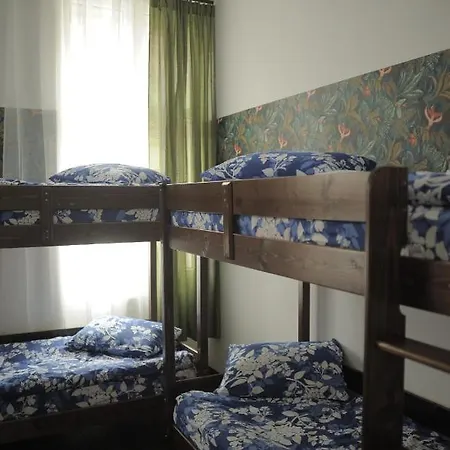 Vintage Downtown Hostel *