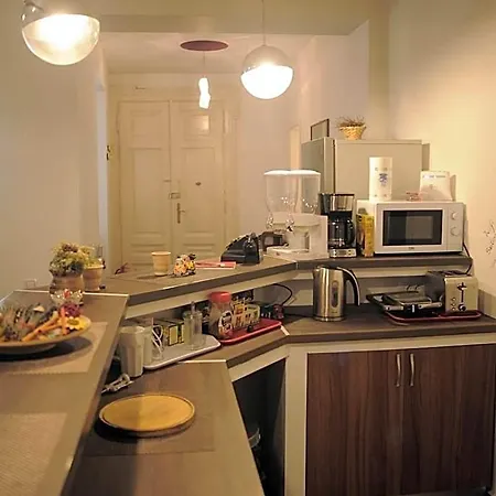 Vintage Downtown Hostel Brasov