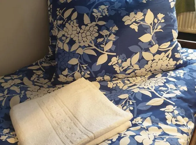 Vintage Downtown Hostel *