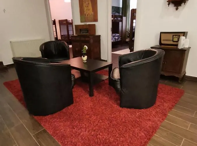 Vintage Downtown Hostel *