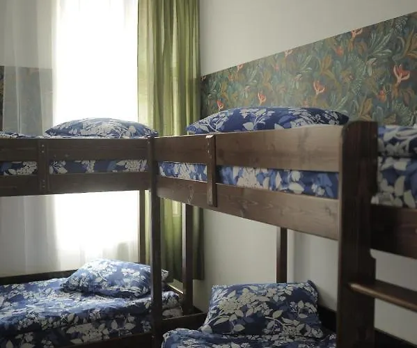 Vintage Downtown Hostel *