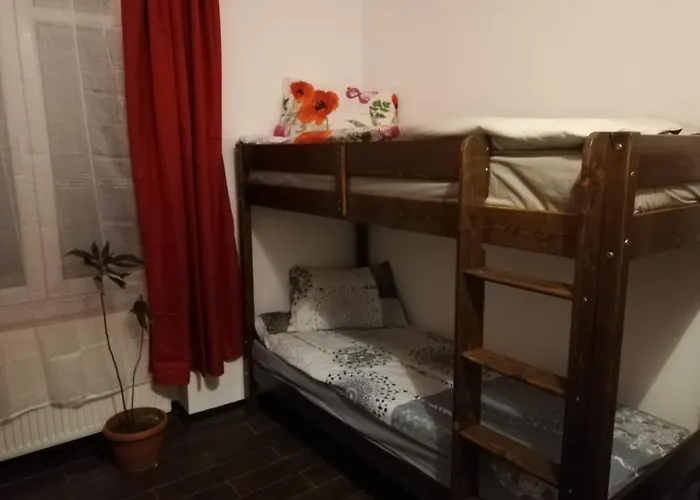 Vintage Downtown Hostel Μπρασόβ