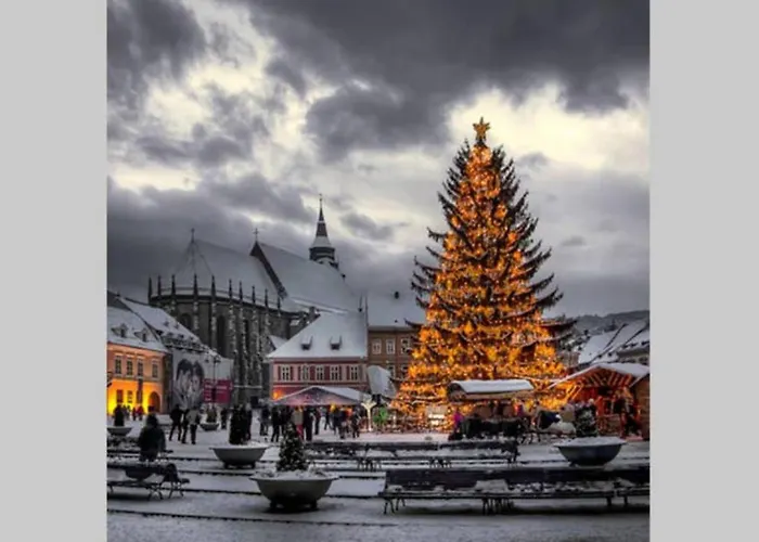 Vintage Downtown Hostel *