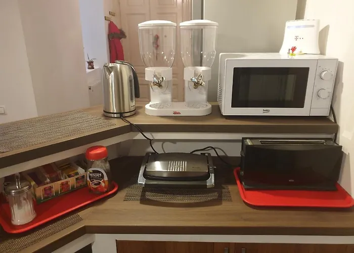 Vintage Downtown Hostel